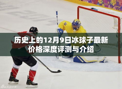 歷史上的冰球子最新價格深度評測與介紹，深度了解冰球子背后的故事