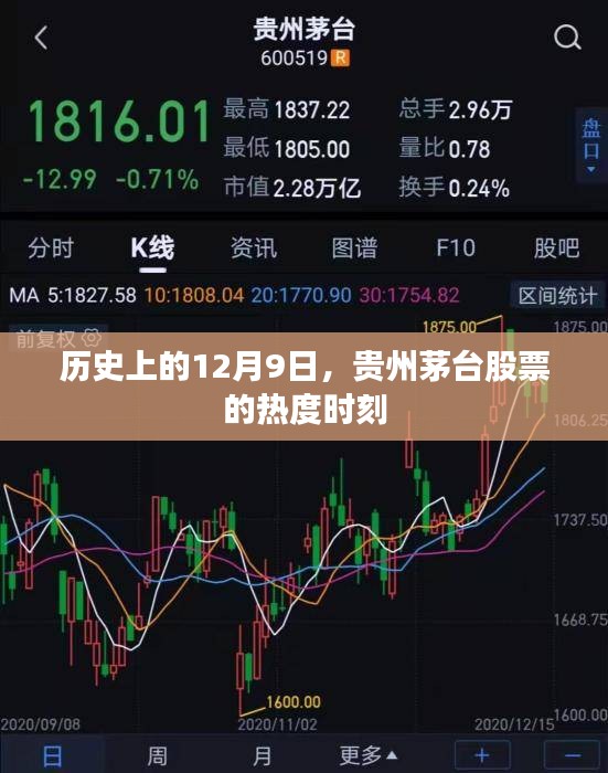 貴州茅臺股票熱度時刻，歷史回顧與最新動態