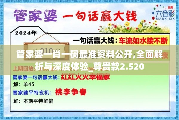 管家婆一肖一碼最準(zhǔn)資料公開,全面解析與深度體驗(yàn)_尊貴款2.520
