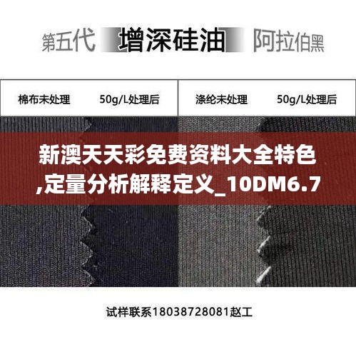 新澳天天彩免費(fèi)資料大全特色,定量分析解釋定義_10DM6.788