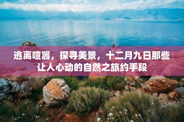 十二月九日自然之旅，逃離喧囂，探尋美景的心動之旅