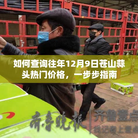 查詢往年12月9日蒼山蒜頭熱門價格指南