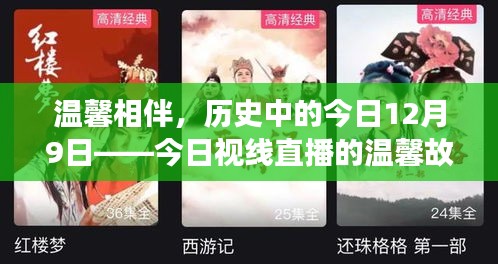 溫馨相伴，今日視線直播中的歷史與故事——12月9日的溫馨篇章