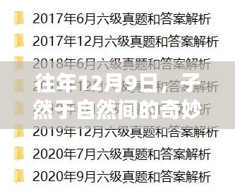 子然于自然間的奇妙轉(zhuǎn)折——每年的12月9日觀察