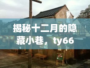 揭秘十二月隱藏小巷的神秘魅力，ty66特色小店探秘之旅！