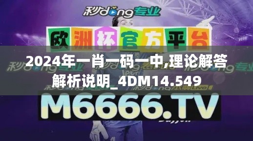 2024年一肖一碼一中,理論解答解析說明_4DM14.549