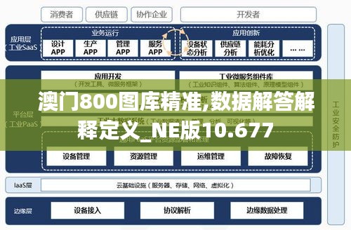 澳門800圖庫精準,數據解答解釋定義_NE版10.677
