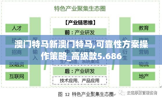 澳門特馬新澳門特馬,可靠性方案操作策略_高級款5.686