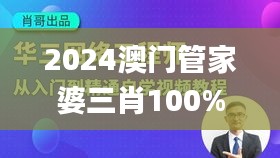 2024澳門管家婆三肖100%,靈活性策略設計_NE版7.818