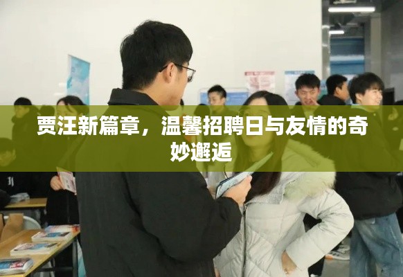 賈汪新篇章，招聘日與友情的奇妙交匯點