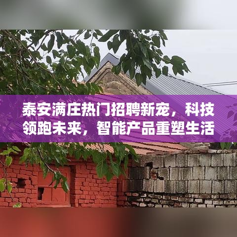 泰安滿莊科技招聘新寵，智能產品重塑未來生活體驗