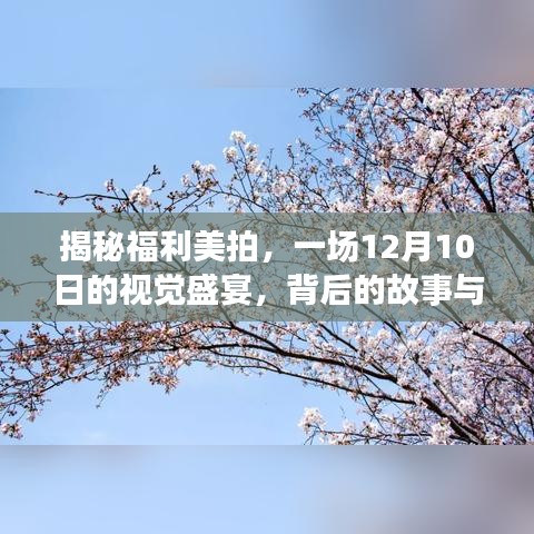 揭秘福利美拍背后的故事與影響，一場視覺盛宴的盛大開啟（12月10日）