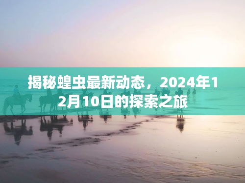 揭秘蝗蟲最新動態，探索之旅即將啟程，時間指向2024年12月10日
