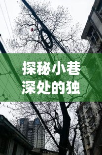 探秘小巷深處的獨特風味，歷史最新填縫故事揭秘