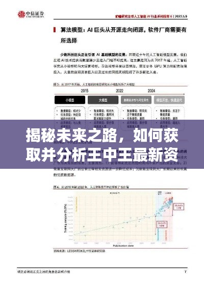 未來(lái)之路揭秘，王中王最新資料分析與預(yù)測(cè)指南——初學(xué)者與進(jìn)階者的洞察之路