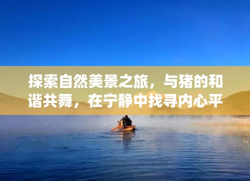 十二月探索自然美景之旅，與豬的和諧共舞，尋找內(nèi)心平和的養(yǎng)豬新篇章