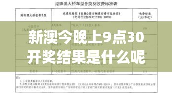 新澳今晚上9點30開獎結果是什么呢,實踐分析解釋定義_8DM8.888