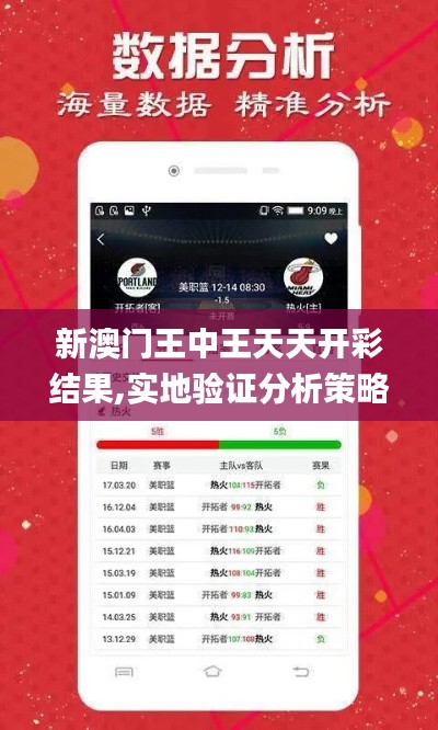 新澳門王中王天天開彩結果,實地驗證分析策略_Mixed3.490