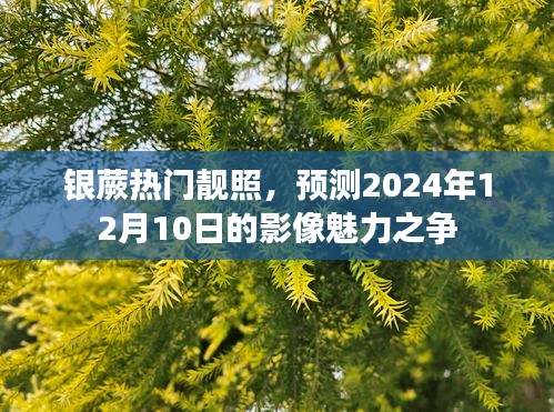銀蕨影像魅力之爭，預(yù)測未來靚照潮流至2024年12月10日