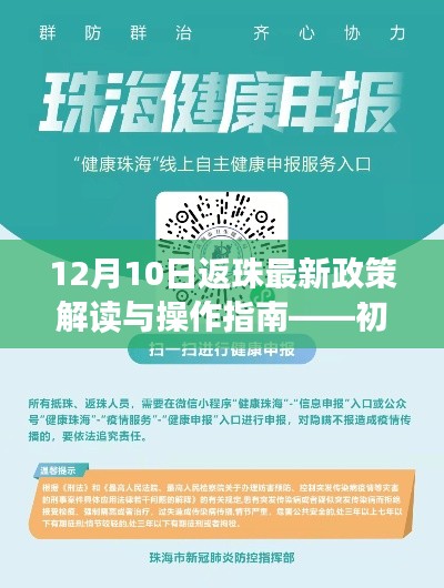 初學者進階手冊，12月10日返珠最新政策解讀與操作指南