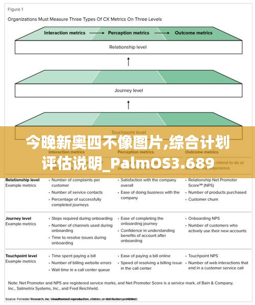 今晚新奧四不像圖片,綜合計劃評估說明_PalmOS3.689