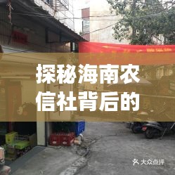 探秘海南農(nóng)信社背后的美食秘境，吳偉雄小巷特色小店的獨特魅力