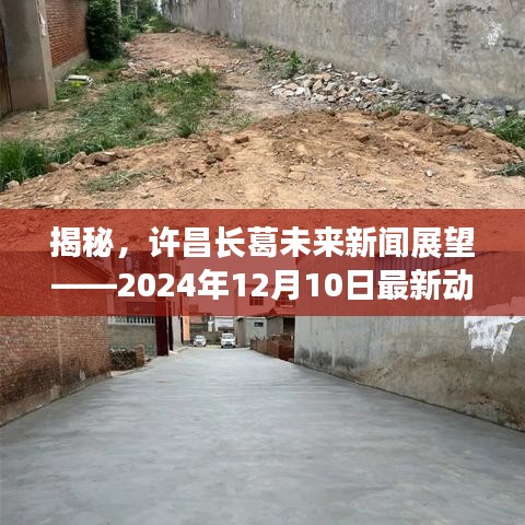 許昌長葛未來展望，最新動態猜想與新聞揭秘（2024年12月10日）