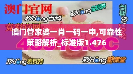 澳門管家婆一肖一碼一中,可靠性策略解析_標準版1.476