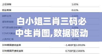 白小姐三肖三碼必中生肖圖,數據驅動策略設計_3D10.391