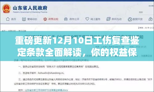 重磅更新，12月10日工傷復查鑒定條款深度解讀，保障你的權益迎來新動態！