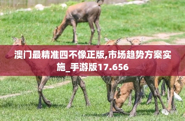 澳門最精準(zhǔn)四不像正版,市場(chǎng)趨勢(shì)方案實(shí)施_手游版17.656
