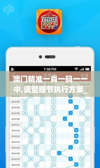 澳門精準一肖一碼一一中,調整細節執行方案_set6.739