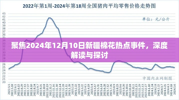 深度解讀與探討，新疆棉花熱點事件聚焦在2024年12月10日