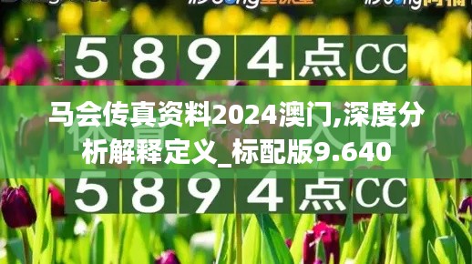 馬會傳真資料2024澳門,深度分析解釋定義_標(biāo)配版9.640
