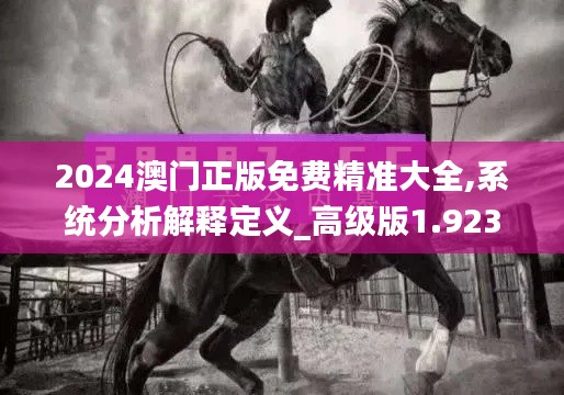 2024澳門正版免費精準大全,系統分析解釋定義_高級版1.923