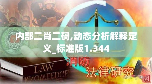 內(nèi)部二肖二碼,動態(tài)分析解釋定義_標準版1.344