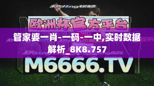 管家婆一肖-一碼-一中,實(shí)時(shí)數(shù)據(jù)解析_8K8.757