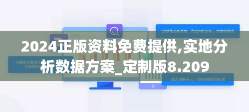 2024正版資料免費提供,實地分析數據方案_定制版8.209