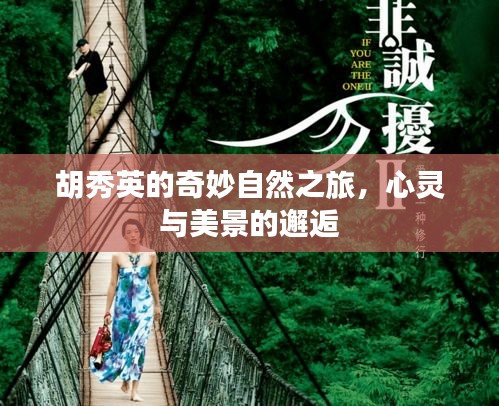 胡秀英的奇妙自然之旅，心靈與美景的交融