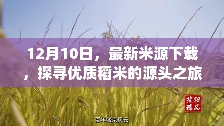 探尋優質稻米源頭之旅，最新米源下載于12月10日啟動