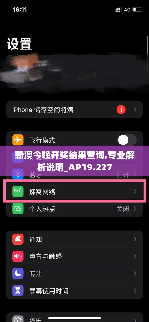新澳今晚開獎結果查詢,專業解析說明_AP19.227
