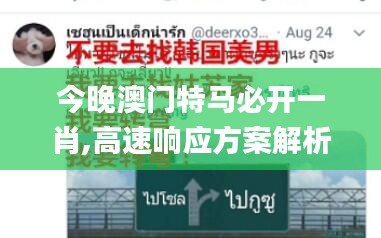 今晚澳門特馬必開一肖,高速響應方案解析_uShop4.849