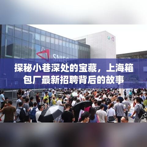 探秘小巷深處的寶藏，上海箱包廠最新招聘背后的故事揭秘