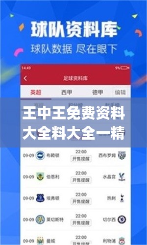 王中王免費資料大全料大全一精準,準確資料解釋定義_交互版6.990