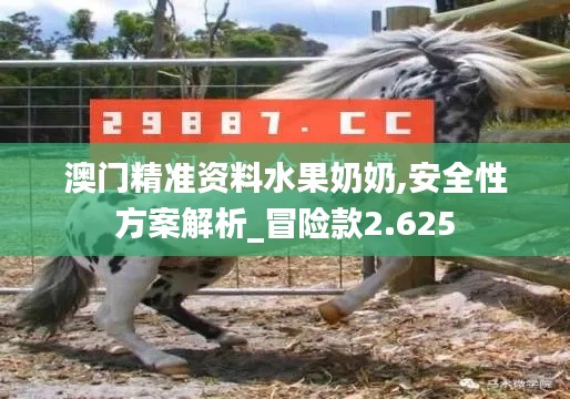 澳門精準(zhǔn)資料水果奶奶,安全性方案解析_冒險(xiǎn)款2.625