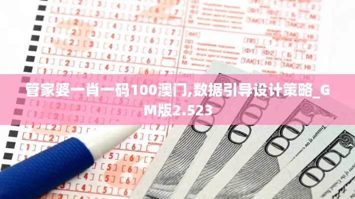 管家婆一肖一碼100澳門,數據引導設計策略_GM版2.523