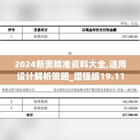 2024新奧精準資料大全,適用設計解析策略_增強版19.111