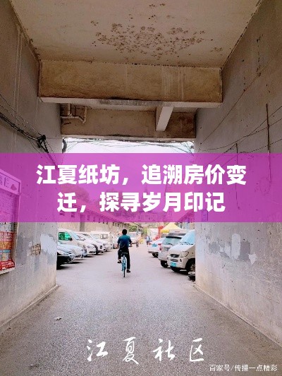 綱舉目張 第2頁(yè)
