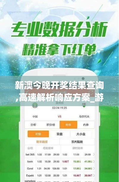 新澳今晚開獎結果查詢,高速解析響應方案_游戲版8.288