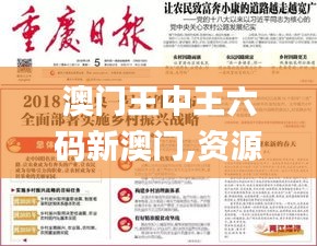澳門王中王六碼新澳門,資源策略實施_云端版8.667